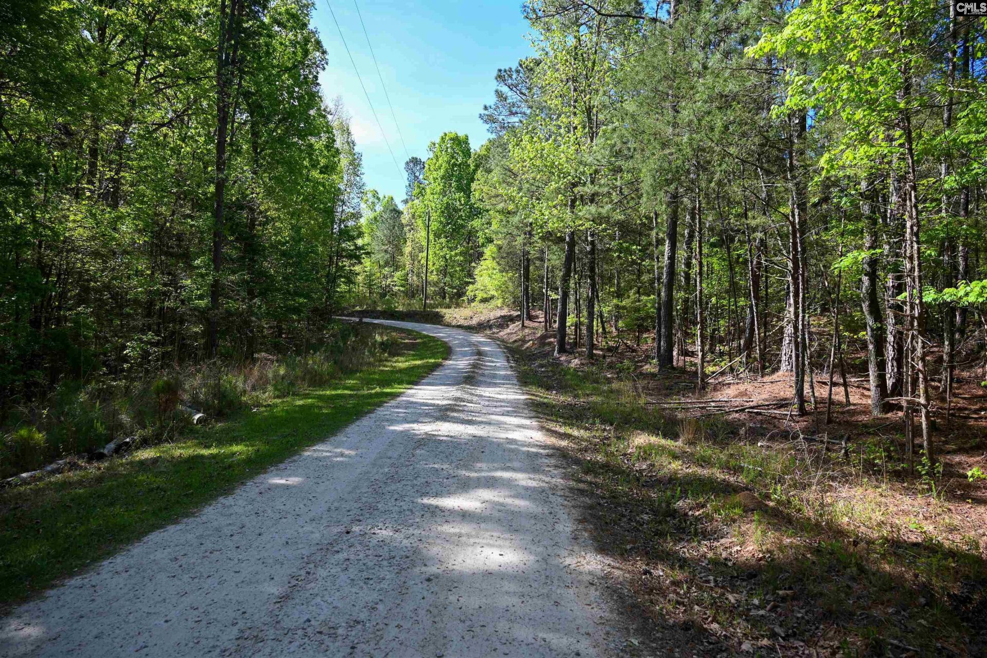 Tbd Spalding Drive Photo 6