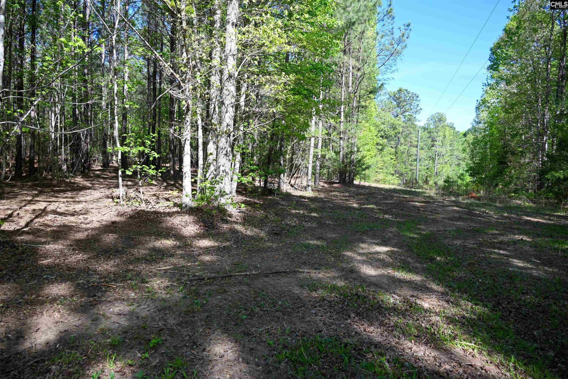 Tbd Spalding Drive Photo 8