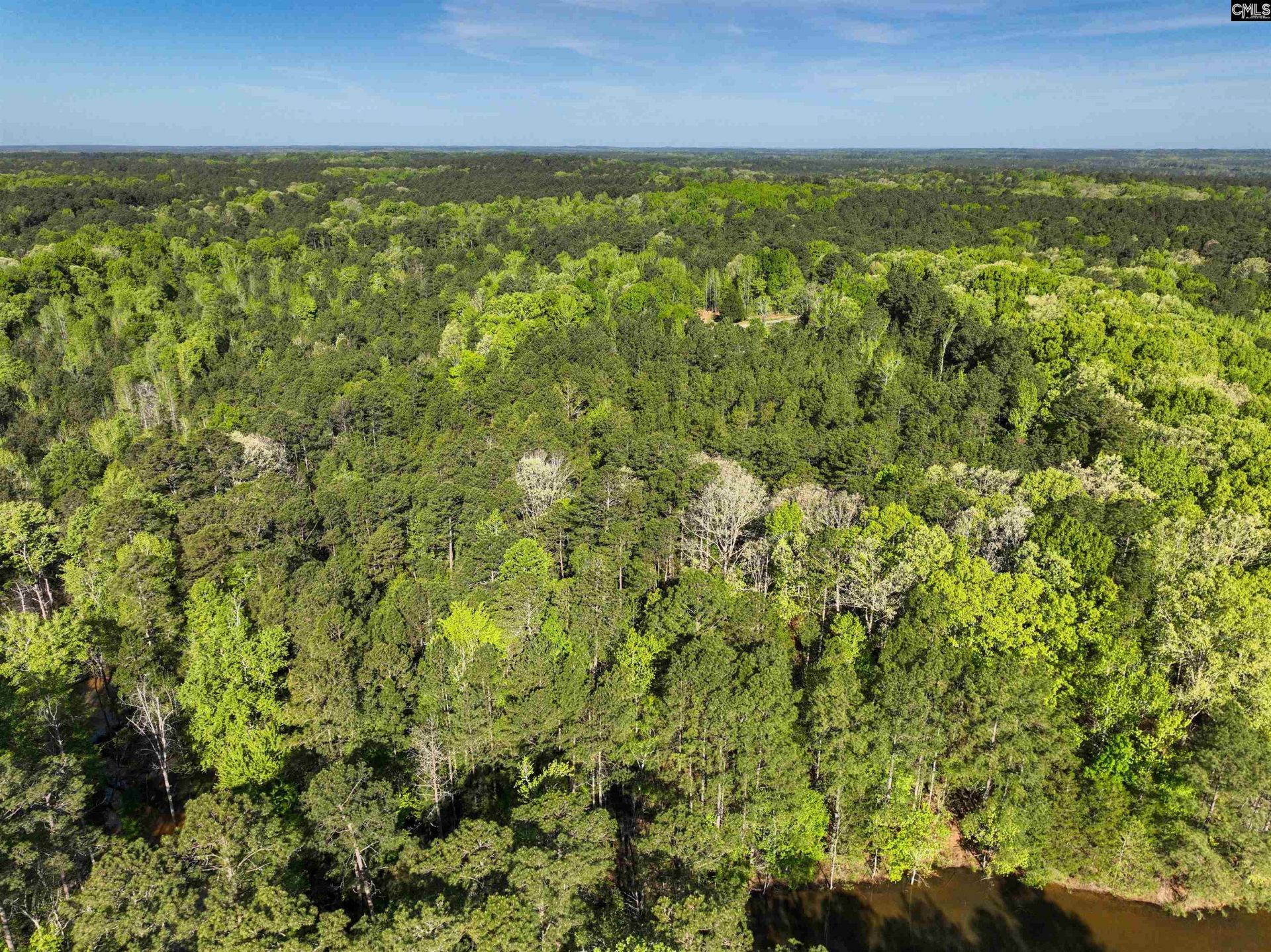 Tbd Spalding Drive Photo 9