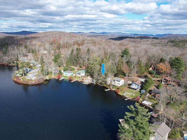 106 Park Drive , Parksville, NY 12768