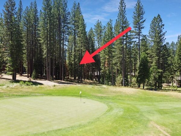 715 Miner's Passage, Clio, CA 96106