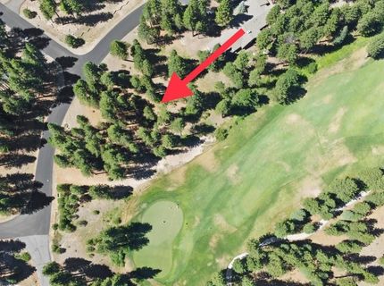 715 Miner's Passage, Clio, CA 96106 Photo