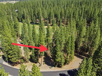 715 Miner's Passage, Clio, CA 96106 Photo