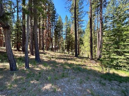 715 Miner's Passage, Clio, CA 96106 Photo