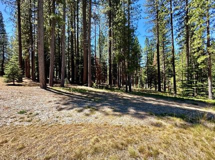 715 Miner's Passage, Clio, CA 96106 Photo
