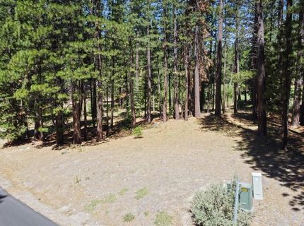 715 Miner's Passage, Clio, CA 96106 Photo