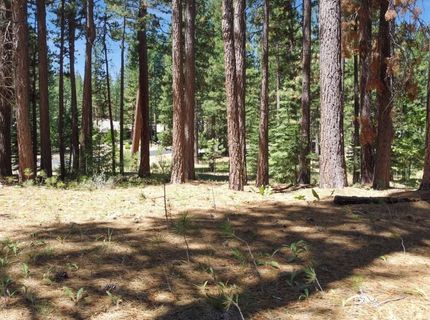715 Miner's Passage, Clio, CA 96106 Photo