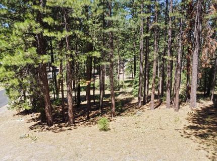 715 Miner's Passage, Clio, CA 96106 Photo