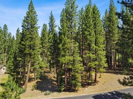 715 Miner's Passage, Clio, CA 96106 Photo