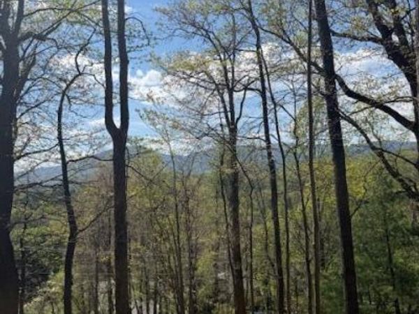 0 Sugar Loaf Mountain RD, Roanoke, VA 24018
