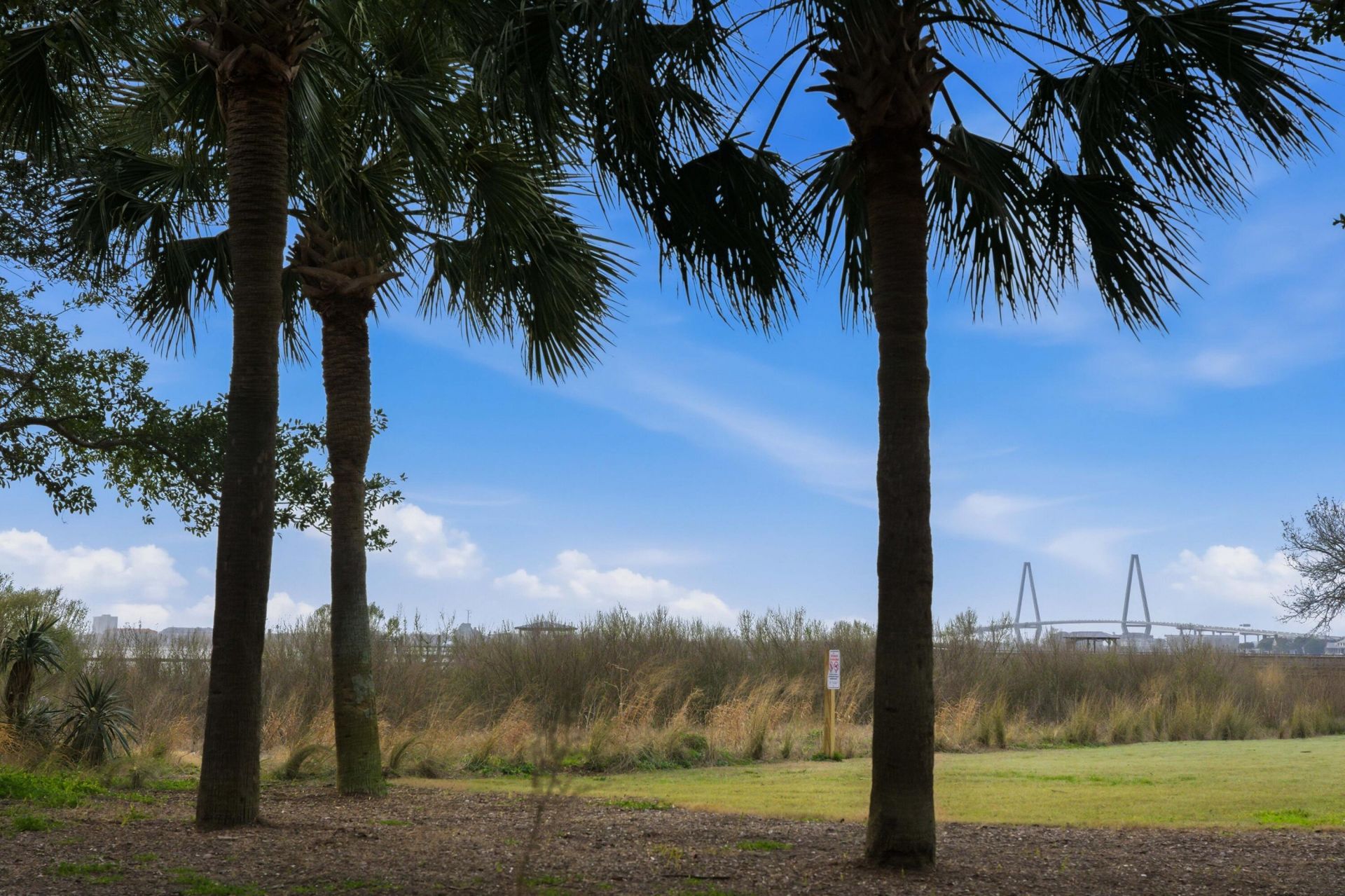 2 Pierates Cruz Photo 60