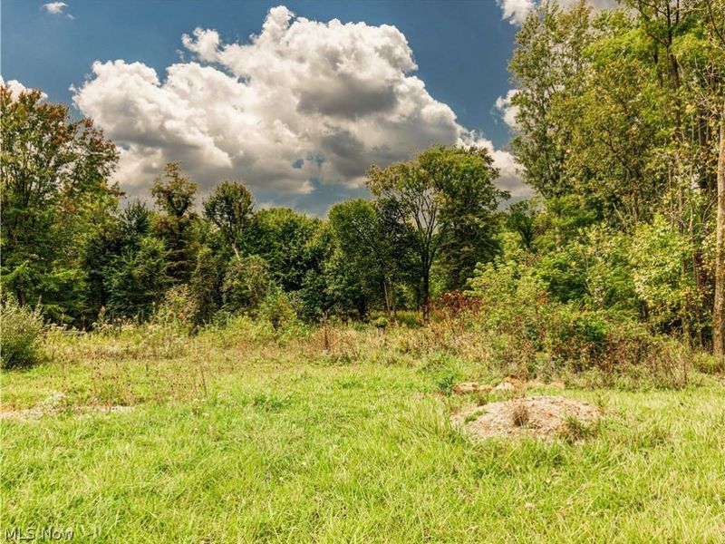 V/L Diplomat Drive, Stow, OH 44224 Photo 6