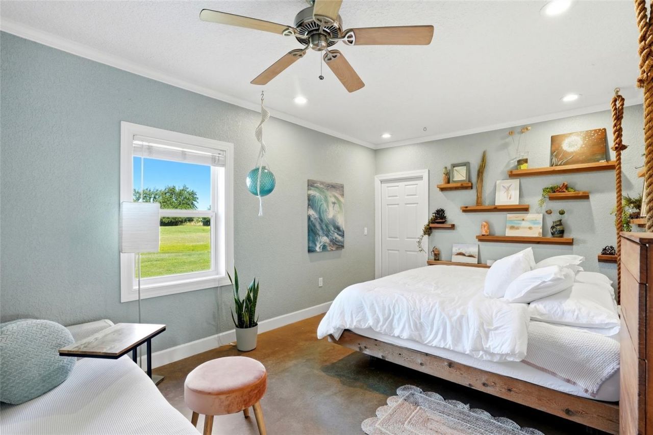 123 S Wiggins Road, Plant City, FL 33566 Photo