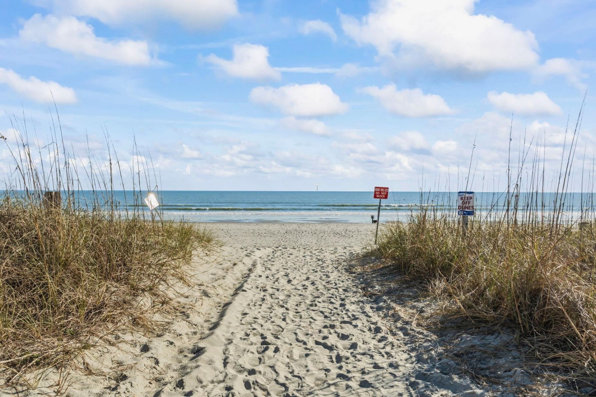 1110 Cypress Cove Photo 38