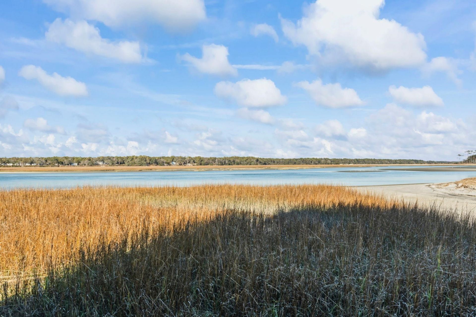 1110 Cypress Cove Photo 39