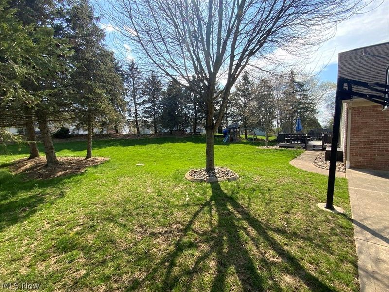 6922 Thornwood Street NW, Canton, OH 44718 Photo 3