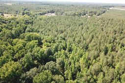 5051 Spring Hill Road photo 4