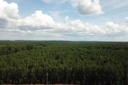 5051 Spring Hill Road photo 4