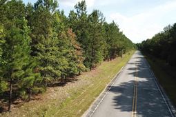 5051 Spring Hill Road photo 4