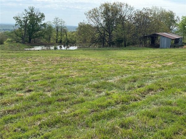 Tract A Old Cincinnati Road, Lincoln, AR 72744