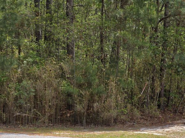 110 Kernel Court, Grandy, NC 27939