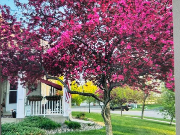 66 Meadowlark Drive, Hudson, WI 54016