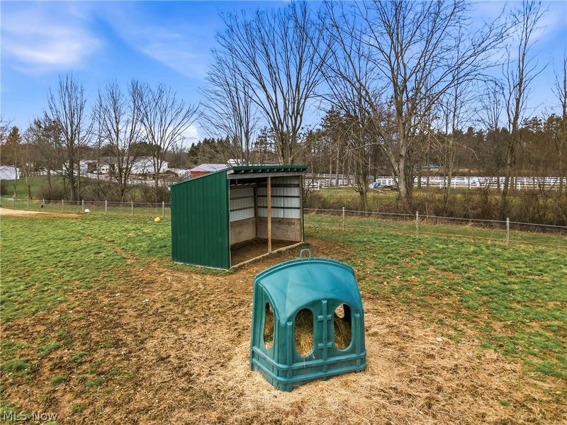 8305 Columbiana Canfield Road, Canfield, OH 44406 Photo 11