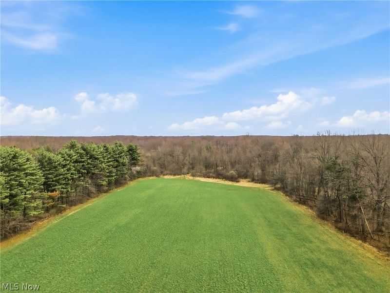 8305 Columbiana Canfield Road, Canfield, OH 44406 Photo 14