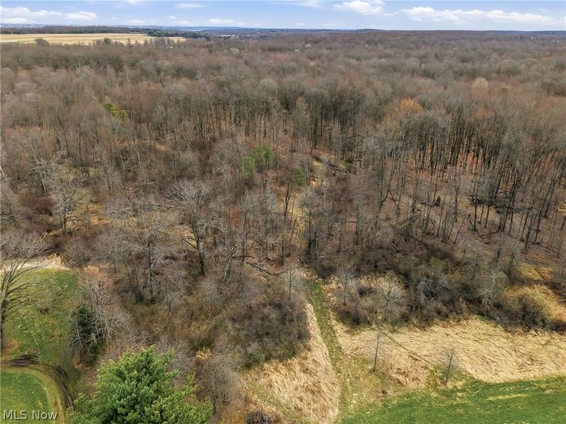 8305 Columbiana Canfield Road, Canfield, OH 44406 Photo 15