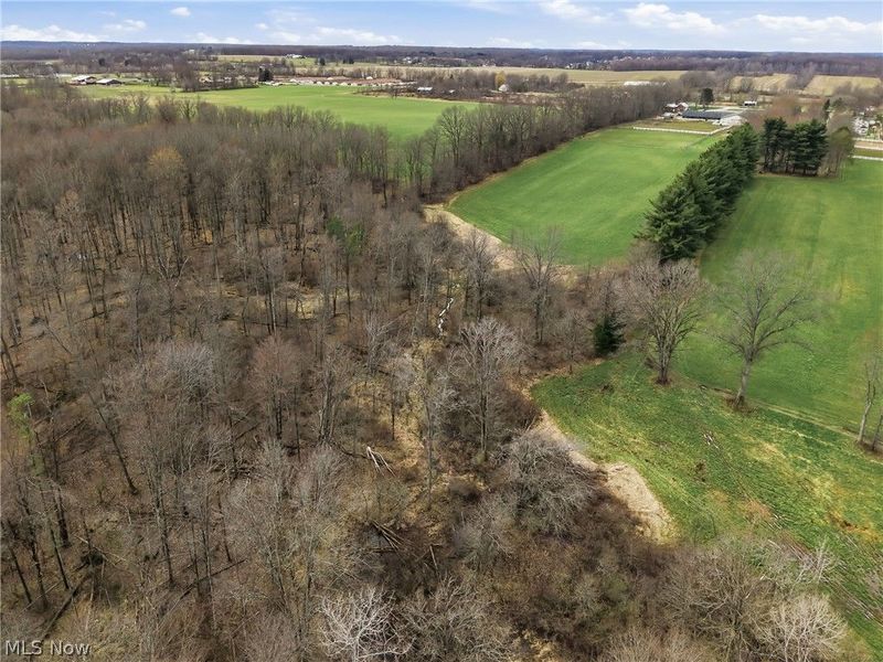 8305 Columbiana Canfield Road, Canfield, OH 44406 Photo 16