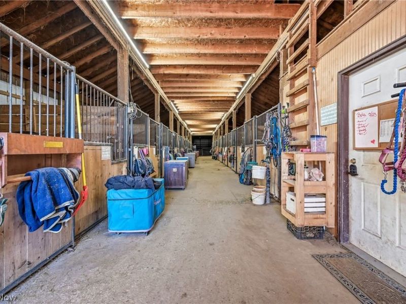 8305 Columbiana Canfield Road, Canfield, OH 44406 Photo 40