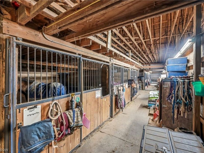 8305 Columbiana Canfield Road, Canfield, OH 44406 Photo 41