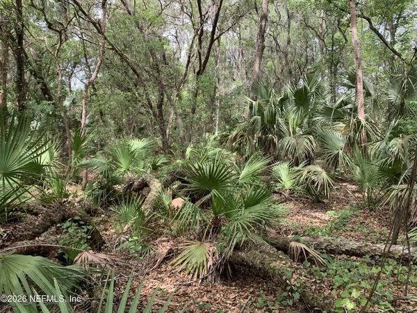 00 OLD WOODS Road, Interlachen, FL 32148