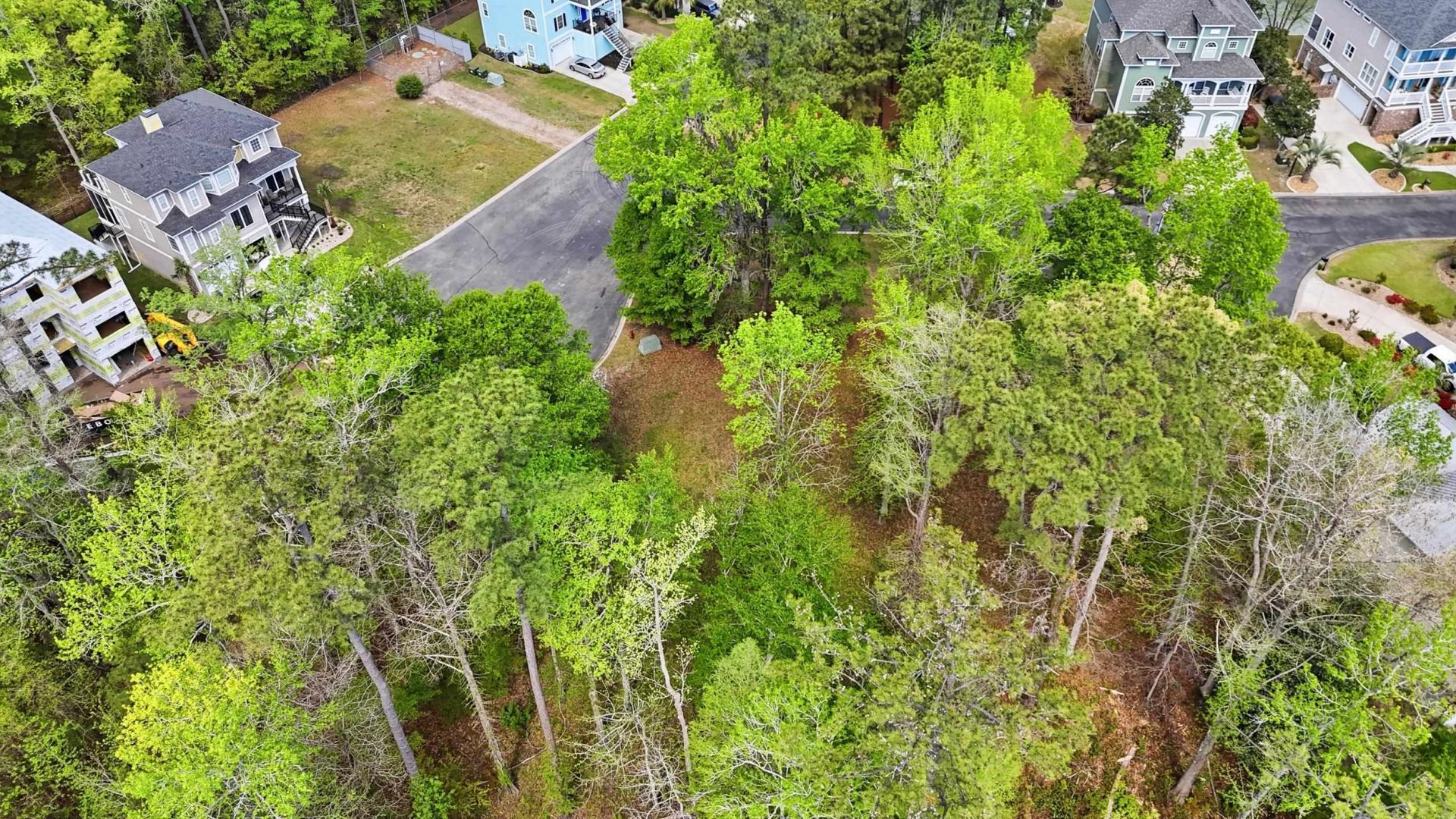 168 Harbor Oaks Dr. Photo 12