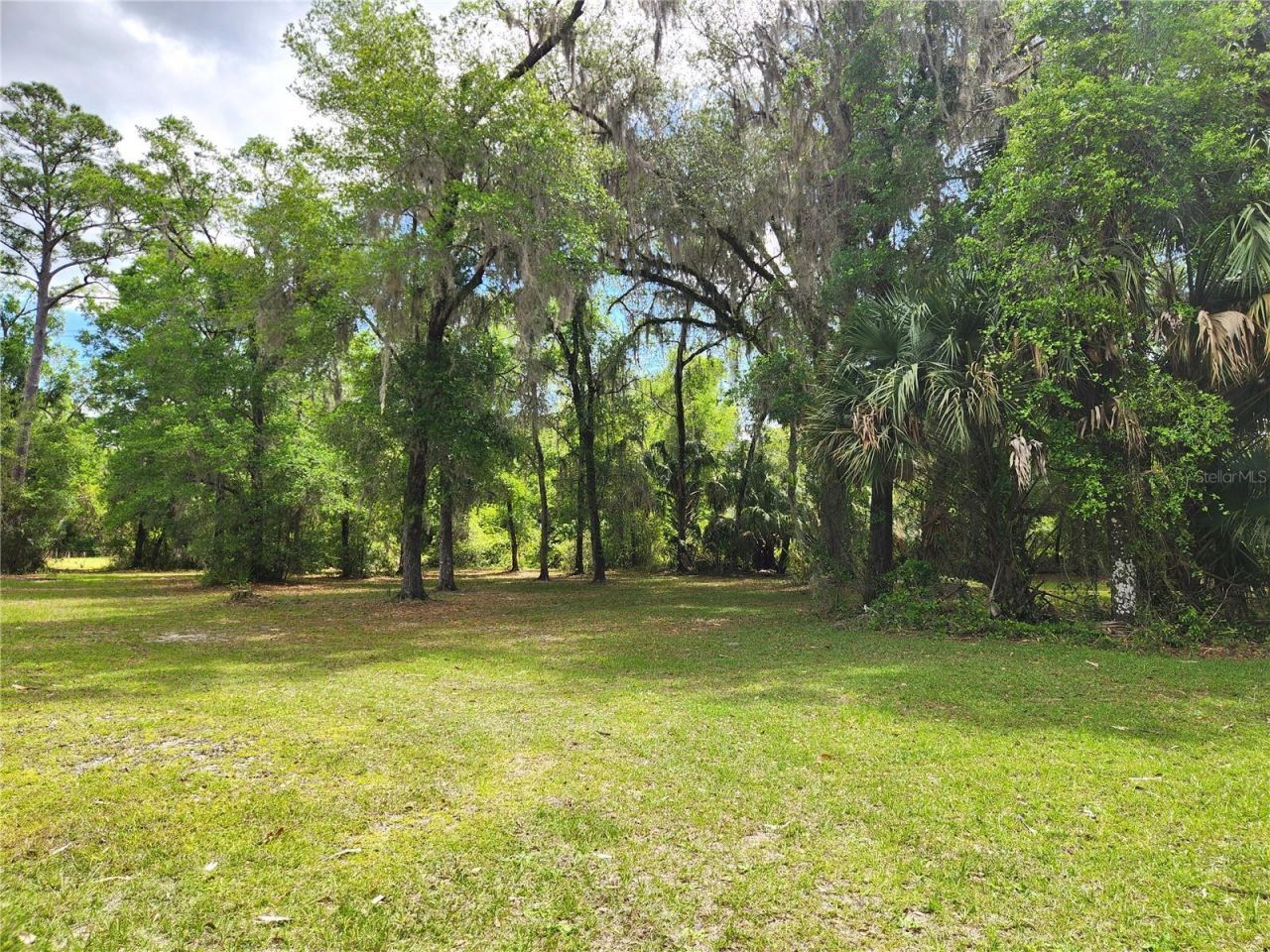 24595 NE Highway 315, Fort Mc Coy, FL 32134 Photo