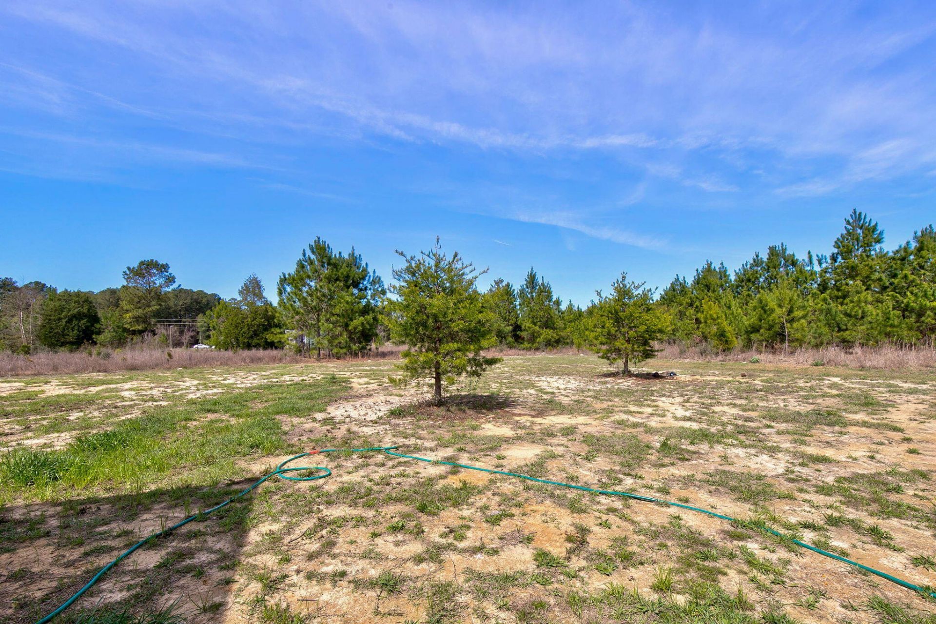 1100 Marlowe Drive Photo 28