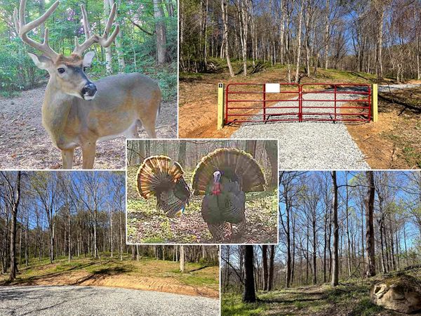 0 Little Kyger Road, Unit (Little Ky, Cheshire, OH 45620