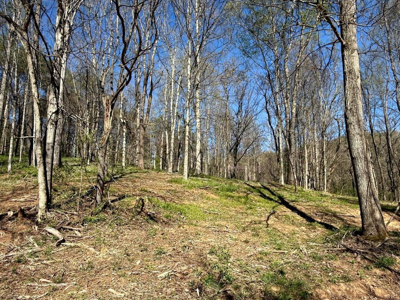 0 Little Kyger Road, Unit (Little Ky, Cheshire, OH 45620 Photo 15