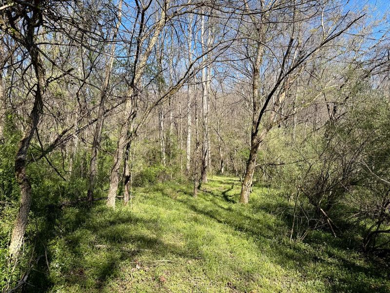 0 Little Kyger Road, Unit (Little Ky, Cheshire, OH 45620 Photo 21