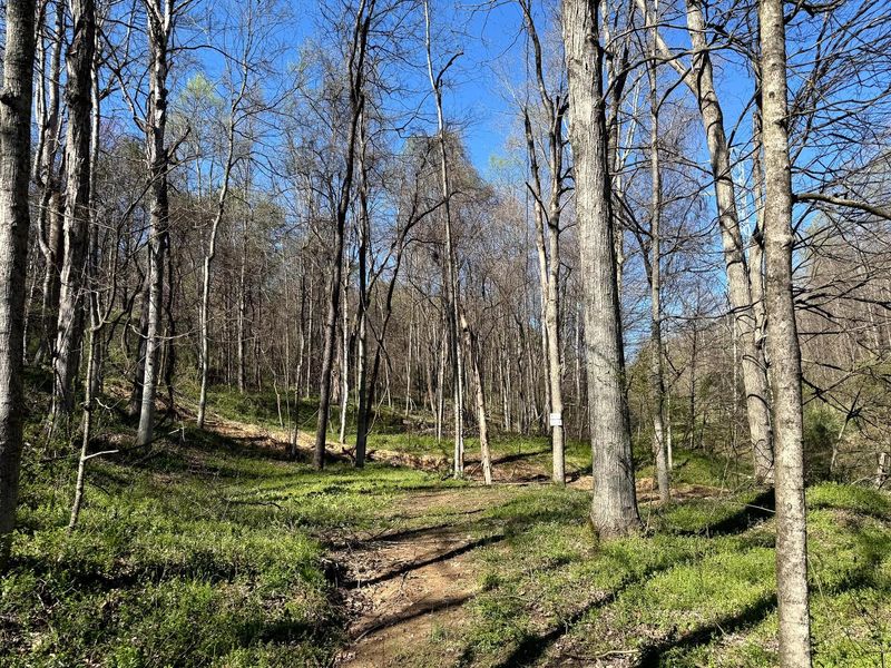 0 Little Kyger Road, Unit (Little Ky, Cheshire, OH 45620 Photo 22