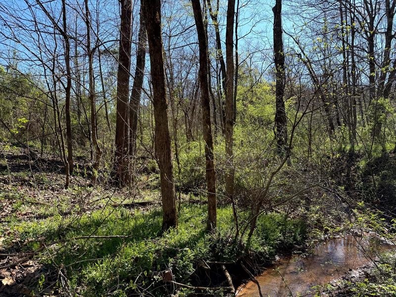 0 Little Kyger Road, Unit (Little Ky, Cheshire, OH 45620 Photo 23