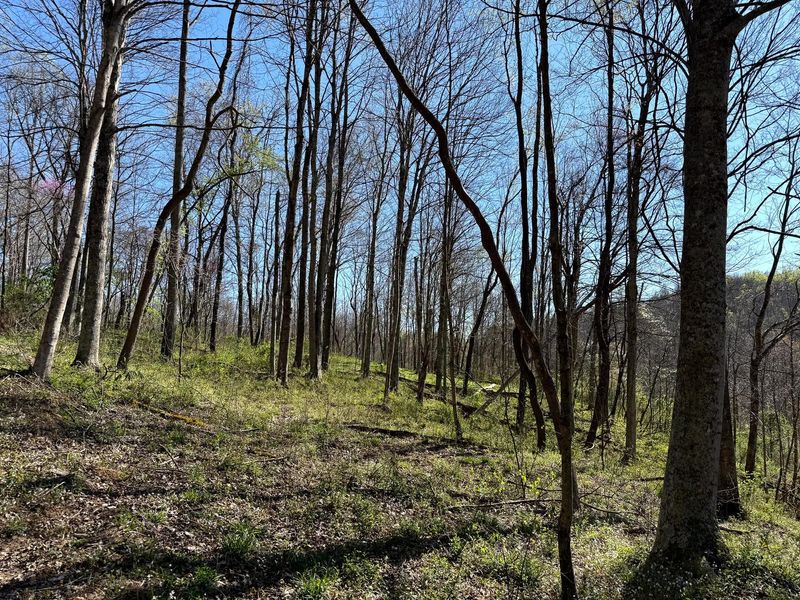 0 Little Kyger Road, Unit (Little Ky, Cheshire, OH 45620 Photo 25