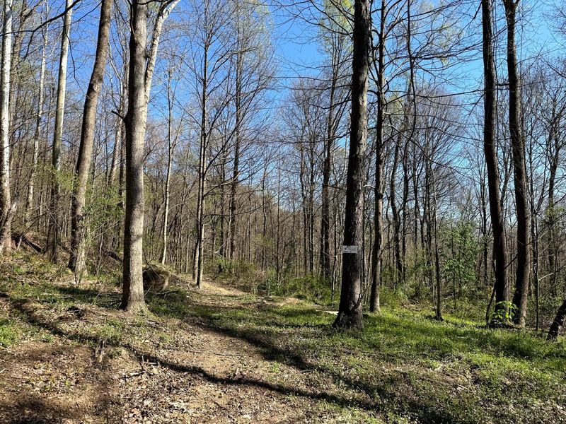 0 Little Kyger Road, Unit (Little Ky, Cheshire, OH 45620 Photo 26