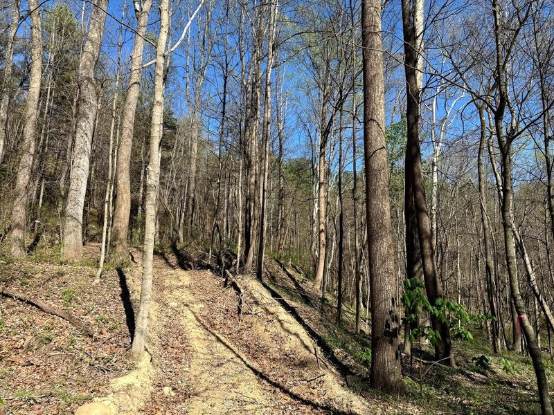 0 Little Kyger Road, Unit (Little Ky, Cheshire, OH 45620 Photo 27