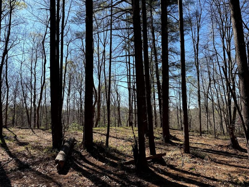 0 Little Kyger Road, Unit (Little Ky, Cheshire, OH 45620 Photo 28