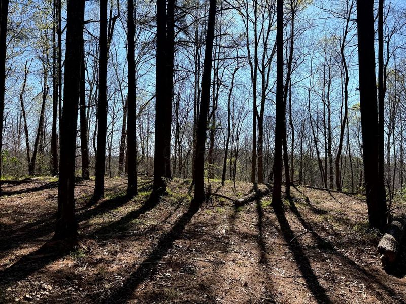 0 Little Kyger Road, Unit (Little Ky, Cheshire, OH 45620 Photo 29