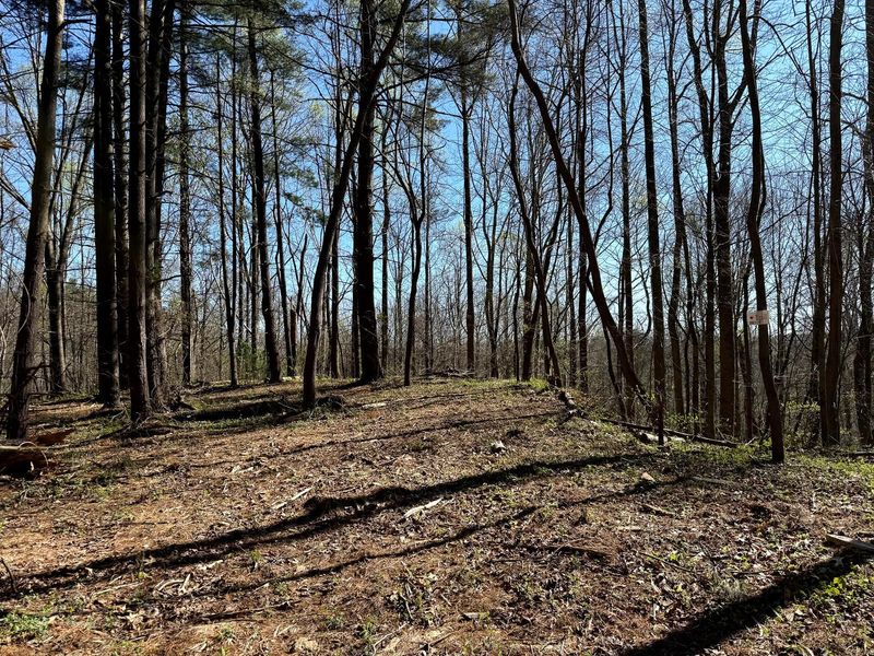 0 Little Kyger Road, Unit (Little Ky, Cheshire, OH 45620 Photo 30