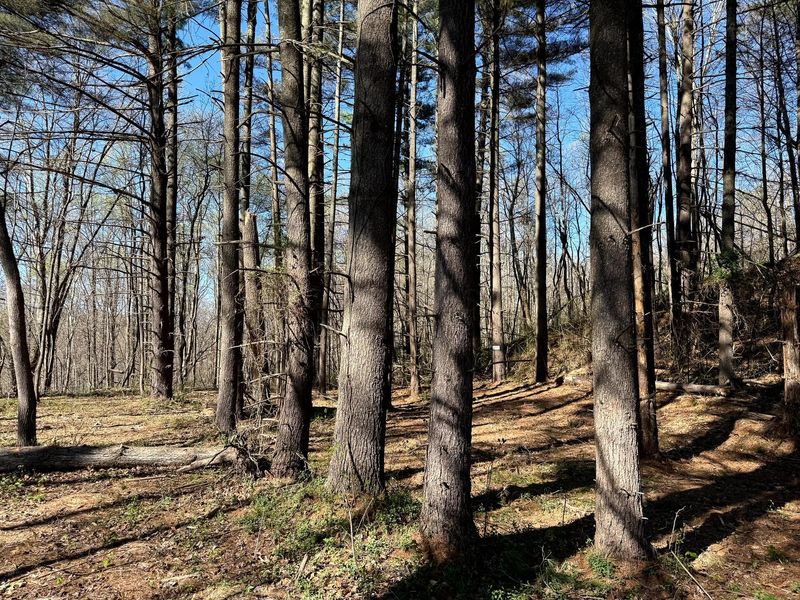 0 Little Kyger Road, Unit (Little Ky, Cheshire, OH 45620 Photo 31