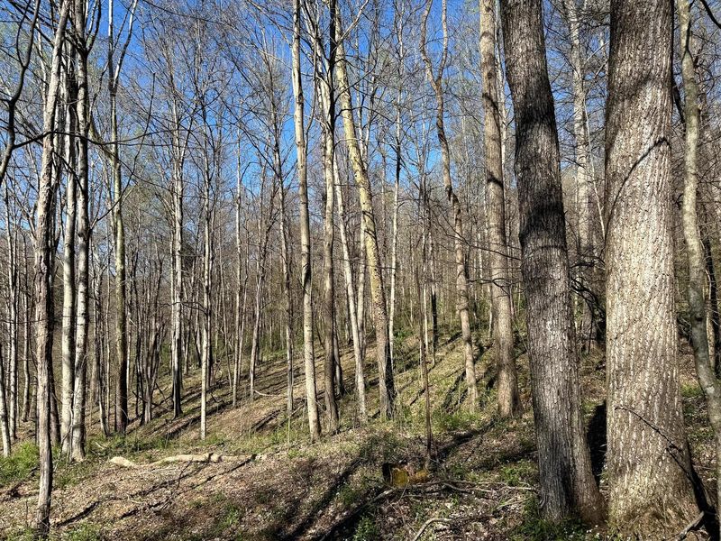 0 Little Kyger Road, Unit (Little Ky, Cheshire, OH 45620 Photo 33