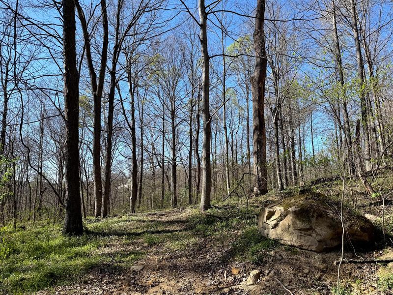 0 Little Kyger Road, Unit (Little Ky, Cheshire, OH 45620 Photo 4